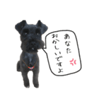 うにと安倍さんのスタンプ（個別スタンプ：19）