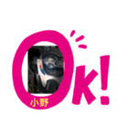 小野系ですが何か⁉️（個別スタンプ：6）