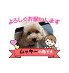 ムッキー 3（個別スタンプ：1）