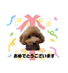 ムッキー 3（個別スタンプ：2）