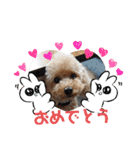 ムッキー 3（個別スタンプ：3）