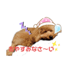 ムッキー 3（個別スタンプ：4）