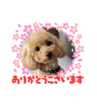 ムッキー 3（個別スタンプ：5）