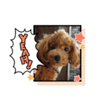 ムッキー 3（個別スタンプ：6）