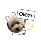 ムッキー 3（個別スタンプ：9）