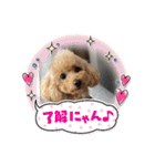 ムッキー 3（個別スタンプ：10）