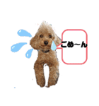 ムッキー 3（個別スタンプ：12）