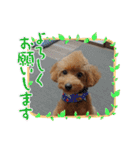 ムッキー 3（個別スタンプ：13）