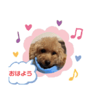 ムッキー 3（個別スタンプ：16）