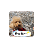 ムッキー 3（個別スタンプ：18）