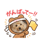 ムッキー 3（個別スタンプ：24）