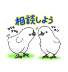 烏骨鶏のモロとノンちゃん（個別スタンプ：31）