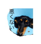 ひなりんぱらだいす（個別スタンプ：4）