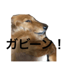 ひなりんぱらだいす（個別スタンプ：13）