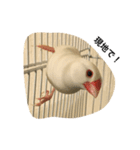 待ち合わせシーン（個別スタンプ：13）
