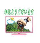 そら豆君 お仕事（個別スタンプ：1）