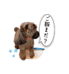 そら豆君 お仕事（個別スタンプ：6）