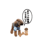 そら豆君 お仕事（個別スタンプ：8）