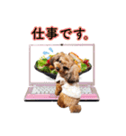 そら豆君 お仕事（個別スタンプ：10）