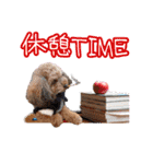 そら豆君 お仕事（個別スタンプ：12）