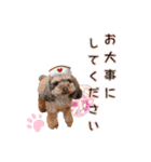 そら豆君 お仕事（個別スタンプ：21）