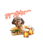 そら豆君 お仕事（個別スタンプ：28）
