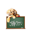 そら豆君 お仕事（個別スタンプ：33）