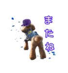 そら豆君 お仕事（個別スタンプ：35）