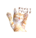 茶トラ 猫 あいさつ ＆ 敬語 スタンプ（個別スタンプ：2）