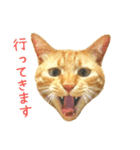 茶トラ 猫 あいさつ ＆ 敬語 スタンプ（個別スタンプ：31）