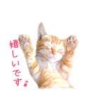 茶トラ 猫 あいさつ ＆ 敬語 スタンプ（個別スタンプ：33）