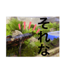 イモリのおしゃべり（個別スタンプ：7）
