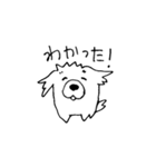 白ペキニーズの日常 3（個別スタンプ：4）