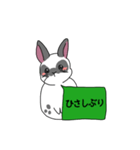 うさぎからのメッセージ（個別スタンプ：7）