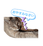 パクちゃんのスタンプ（個別スタンプ：2）