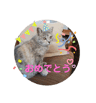 パクちゃんのスタンプ（個別スタンプ：8）