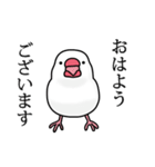 餅ぶんちょ2★毎日使える♪(白文鳥ver.)（個別スタンプ：1）