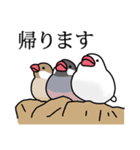 餅ぶんちょ2★毎日使える♪(白文鳥ver.)（個別スタンプ：7）