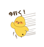 オカメインコのぷぷ吉 #01（個別スタンプ：7）