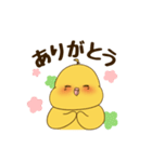 オカメインコのぷぷ吉 #01（個別スタンプ：14）