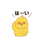 オカメインコのぷぷ吉 #01（個別スタンプ：17）