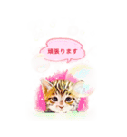 水彩画フレームで猫の可愛い仕草4-1（個別スタンプ：2）