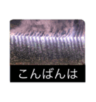 写真で「こんばんは」5（個別スタンプ：2）