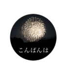 写真で「こんばんは」5（個別スタンプ：3）