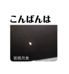 写真で「こんばんは」5（個別スタンプ：9）
