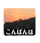 写真で「こんばんは」5（個別スタンプ：12）