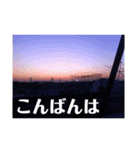写真で「こんばんは」5（個別スタンプ：14）