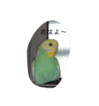 いろいろすたんぷ〜（個別スタンプ：1）