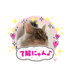 はねちゃんのスタンプ①（個別スタンプ：11）