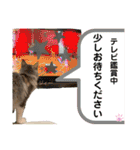 はねちゃんのスタンプ①（個別スタンプ：35）